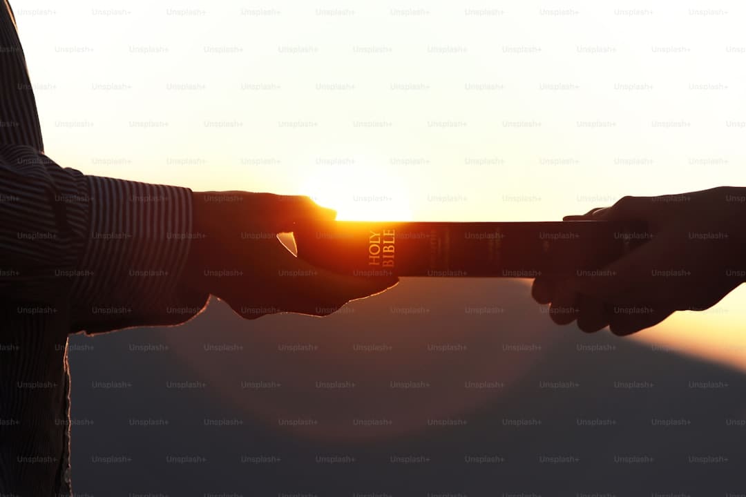 2025年轿车出海质量与服务技能研讨会成功举行